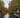 5 reasons why canals are perfect for paddleboarding & kayaking in the autumn & winter