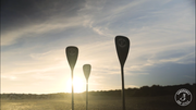 carbon paddles at Studland beach