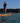 10' Coiled SUP Ankle Leash | Paddleboard Safety Leash